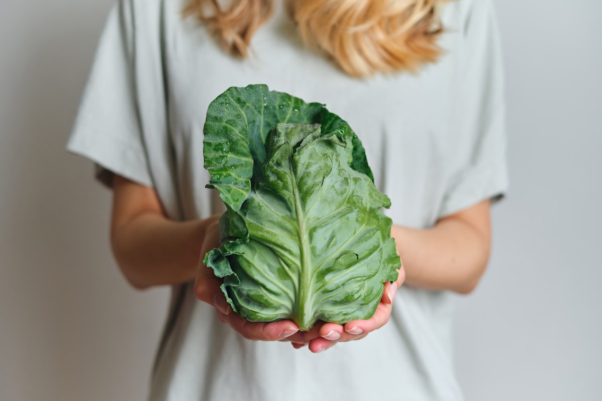 Complete protein combinations in plant-based meals